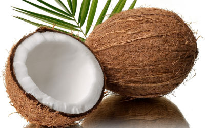 Coconut Products